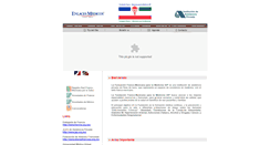 Desktop Screenshot of ffmm-iap.net